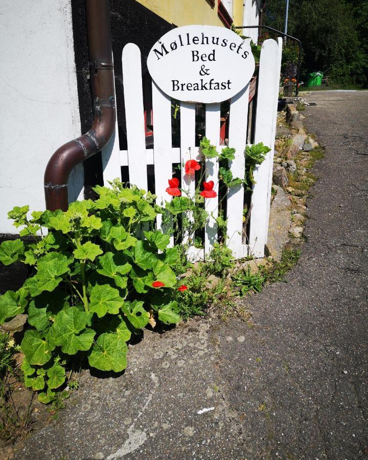 Møllehusets Bed&Breakfast Nordborg Eksteriør bilde
