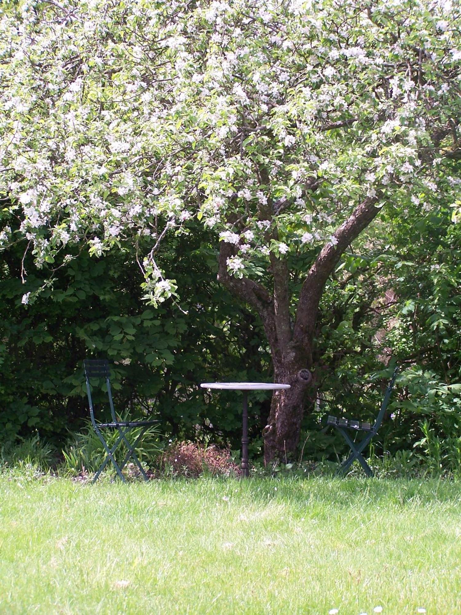 Møllehusets Bed&Breakfast Nordborg Eksteriør bilde